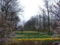 Keukenhof